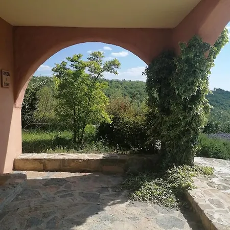Apartma Villa Cedole Chabby Chick Piran Exterior photo