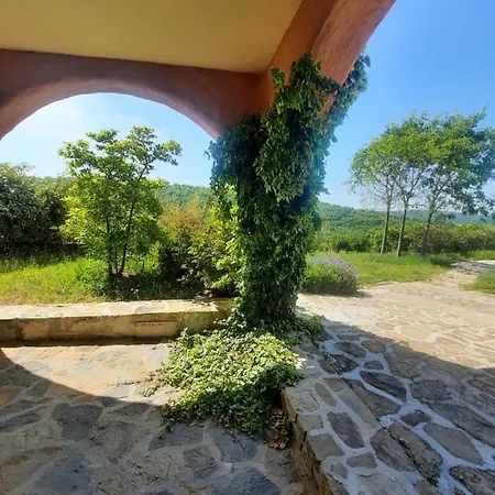 Apartma Villa Cedole Chabby Chick Piran Exterior photo