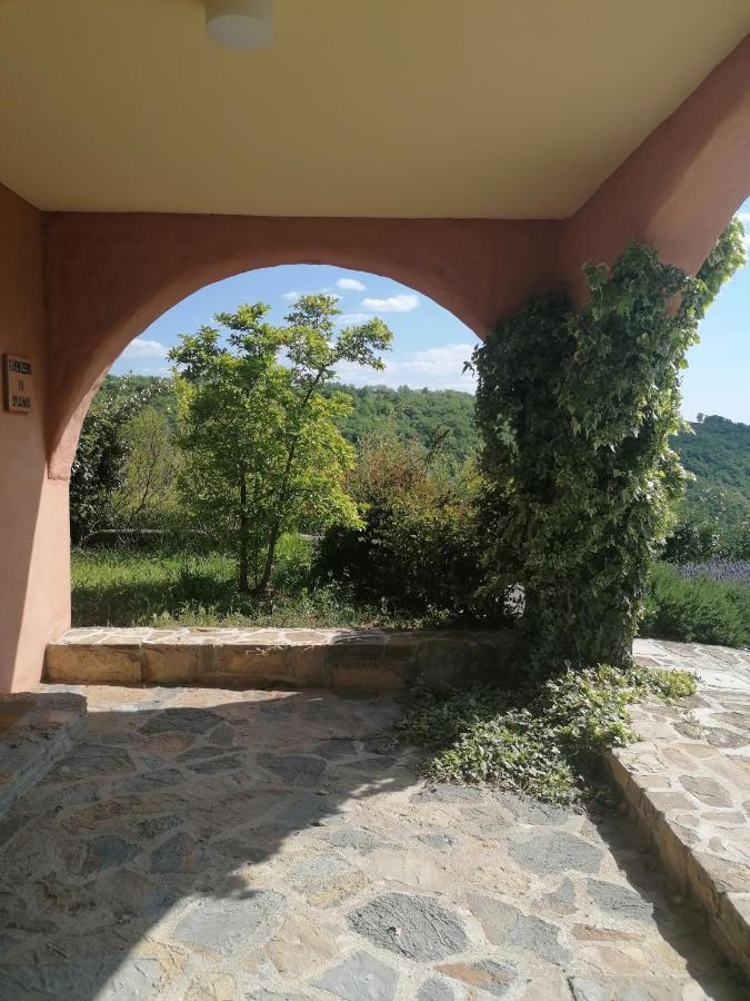 Apartment Apartma Cedole Chabby Chick Piran